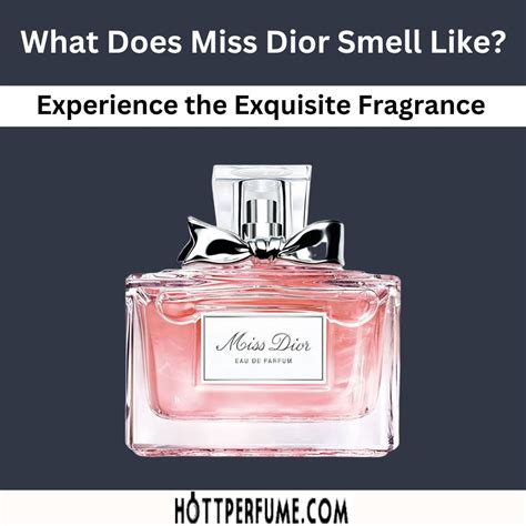 miss dior where to buy|what does miss dior smell like.